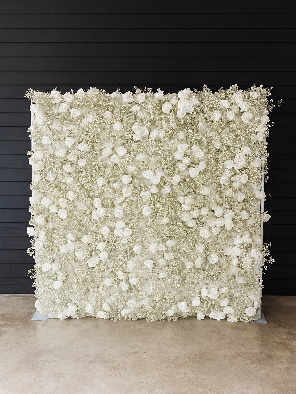 Baby’s Breath & White Rose Flower Wall