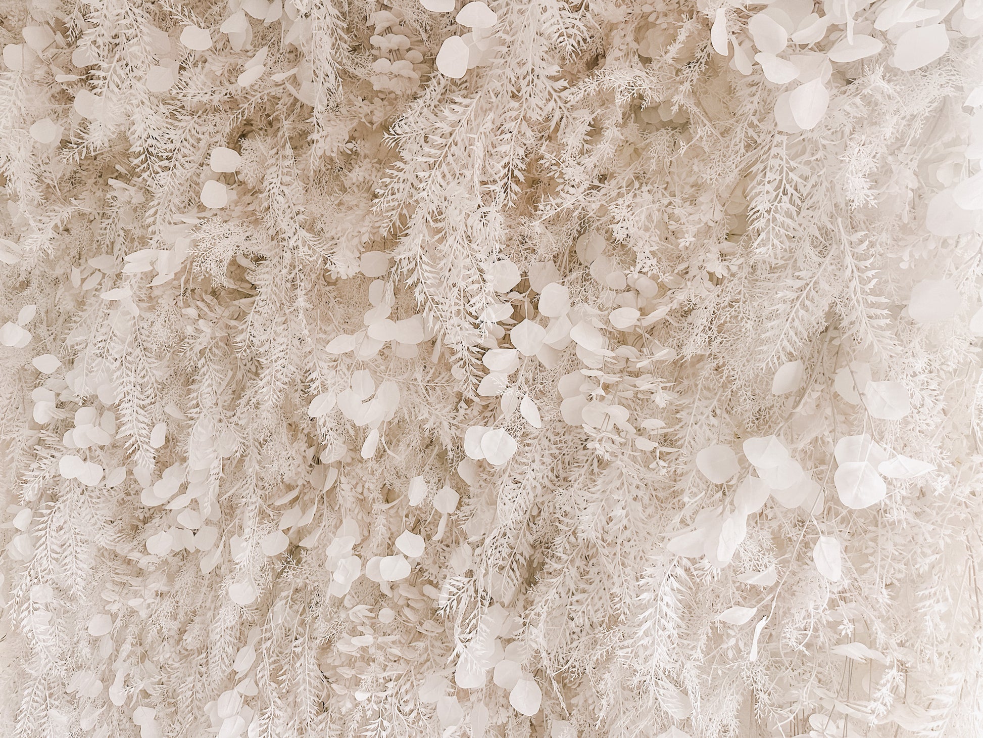 Close-up of the Isla Flower wall showing creamy pampas grass and soft white eucalyptus leaves and italian ruscus.